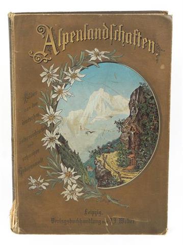 Alpenlandschaften - 180 Holzstiche